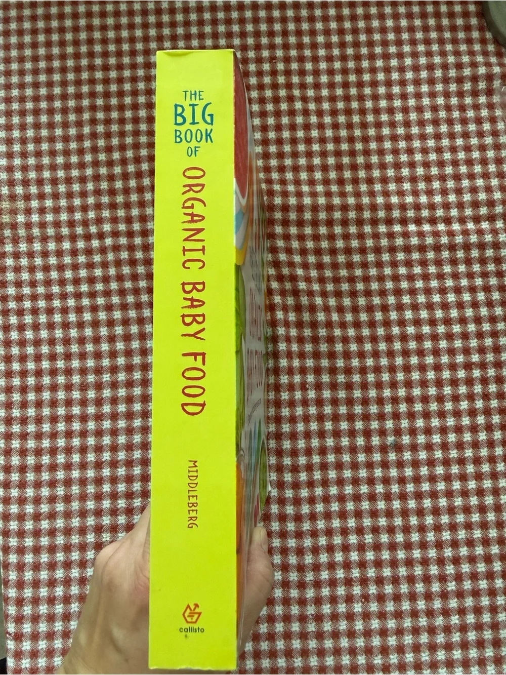 Barnes & Noble The Big Book of Organic Baby Food
